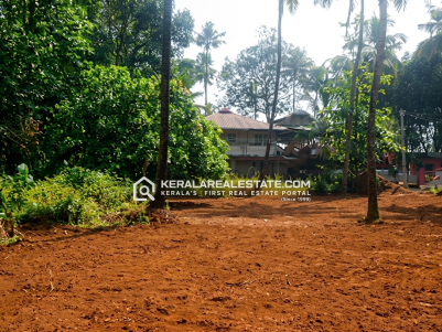 NH Facing Land for Sale in  Mekadampu, Muvattupuzha, Ernakulam 