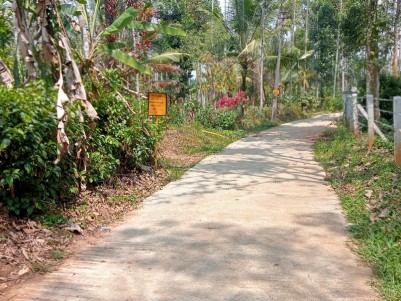 40 Cents Land with House for Sale in Meenangadi, Wayanad 