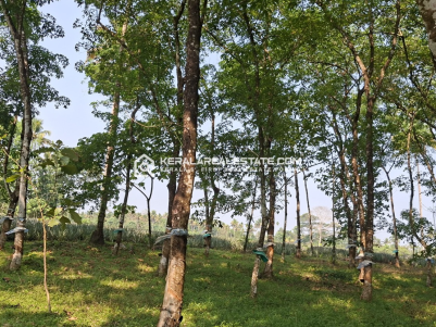 50 Acre Level Land for Sale Near Paniyeli Poru, Perumbavoor, Ernakulam 