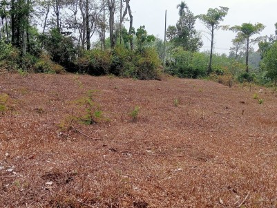 20 Cents of Plot for Sale in Kakkavayal, Vazhavattta, Wayanad