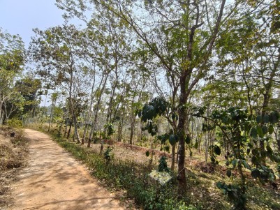 Rubber Plantation for Sale in Athirattukunnu, Near Kenichira, Wayanad 