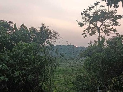 Land for Sale in Kammana, Koyileri Wayanad