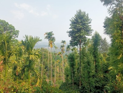 1 Acre Farm/ Villa Plot in Muttil, Wayanad