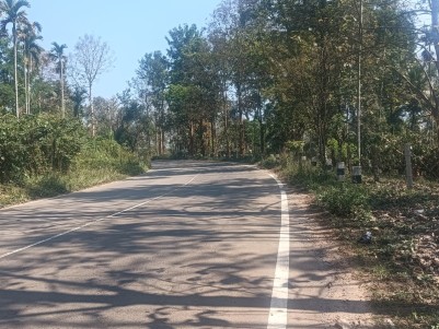 Coffee Estate for Sale in Varadoor, Wayanad 