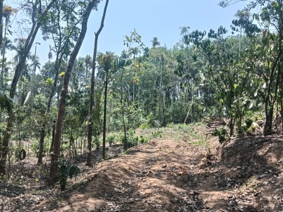  Scenic Land for Sale in Kambalakkad, Wayanad 