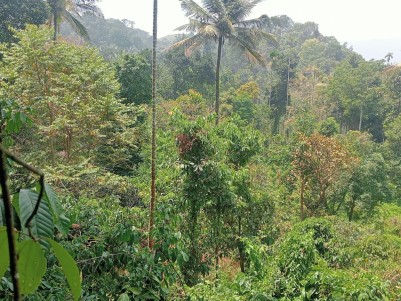 2.2 Acres Land with Old house for Sale in Vythiri, Wayanad 