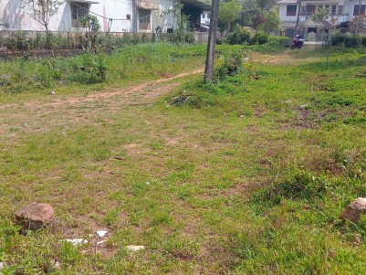 Land with Old House for Sale in Chundel, Wayanad