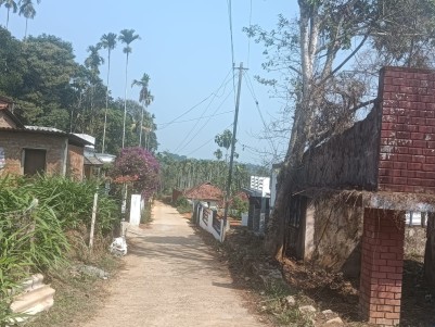 3 BHK House for Sale in Panamaram, Wayanad 