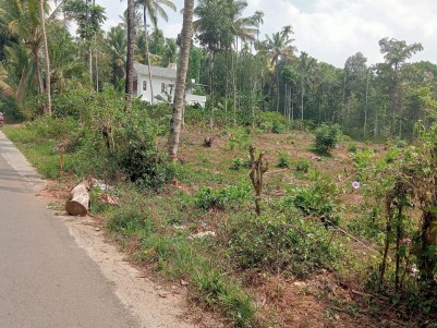 Land for Sale in  Kolagapara, Wayanad