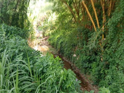 Land for Sale in Puthurvayal, Kalpetta, Wayanad