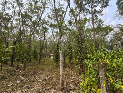 Scenic Land for Sale in Padichira, Wayanad