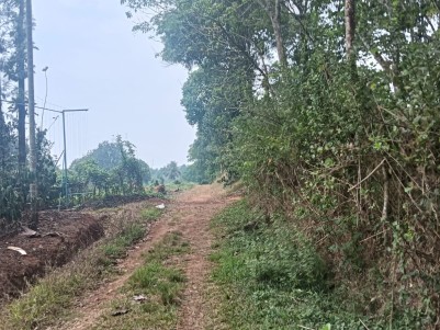 Land for Sale in Pariyaram, Wayanad