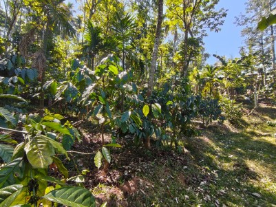 Premium Land for Sale in Irulam, Angadissery, Wayanad