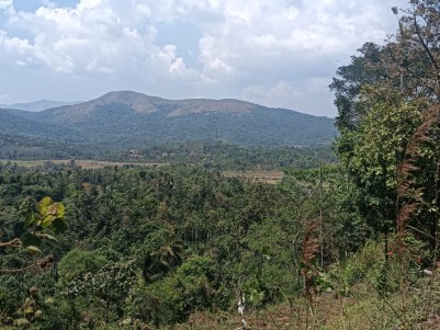 Land with Mountain View for Sale in Mananthavady, Wayanad 