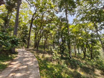 Budget-Friendly Plot for Sale in Vakeri, Wayanad 