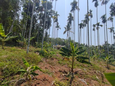 Farmhouse/ Homestay Land in Pulpally, Wayanad