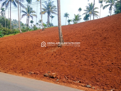 Premium Roadside Land for Sale in Pinangode, Wayanad