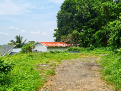 Prime Residential Land for Sale in Thodupuzha, Idukki