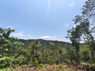 Land for Sale in  Seethamount, Wayanad 