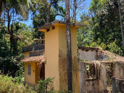 Premium House Plot for Sale in 7th Mile, Anjukunnu, Wayanad