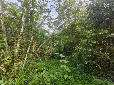  PREMIUM VILLA / HOMESTAY PLOT FOR SALE IN KENICHIRA, WAYANAD 