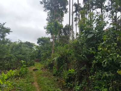 Farm & Resort Land for Sale in Irulam, Wayanad