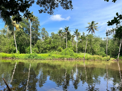 Premium Riverside Property for Sale in Poovar, Trivandrum