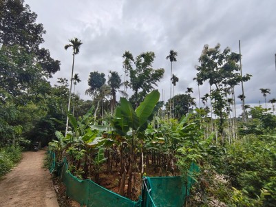 Premium Villa / Homestay / Farmhouse Plot for Sale in Karyambadi, Wayanad 