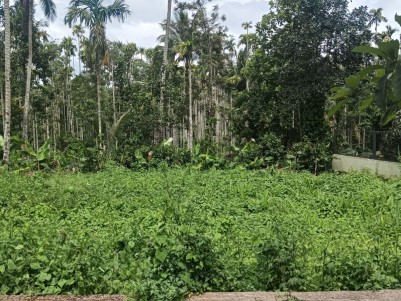 Highway Frontage Commercial Land for Sale in Karani, Wayanad