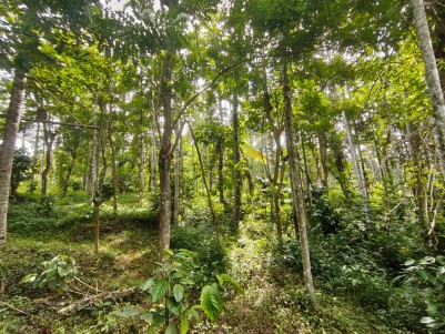 4 BHK House for Sale in Pulpally, Wayanad
