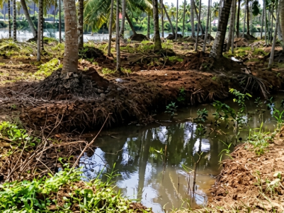 10 ACRE PRIVATE ISLAND FOR SALE IN POOTHOTTA, ERNAKULAM