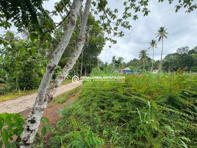 PRIME LAND FOR SALE IN KANAKKARY, ETTUMANOOR, KOTTAYAM