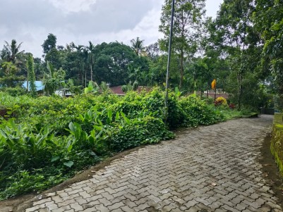 Residential Land for Sale in Kizhakkambalam, Ernakulam