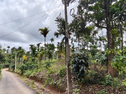 Agriculture Land for Sale in 6th Mile, Chethalayam, Wayanad