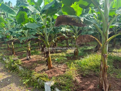 LAND FOR SALE IN KOLLAD, KOTTAYAM