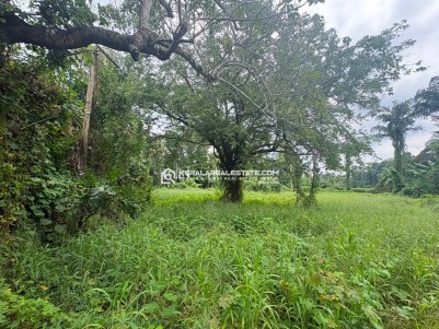 PREMIUM LAND FOR SALE IN MANGANAM, KOTTAYAM