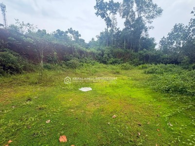 LAND FOR SALE IN THALAPPADY, MANARCAD, KOTTAYAM