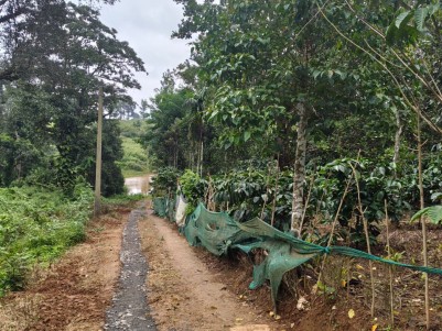 1 ACRE FOREST VIEW HOMESTAY / FARMHOUSE LAND FOR SALE IN SULTHAN BATHERY, WAYANAD