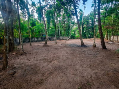 Prime Land for Sale in Perumpalam, Alappuzha