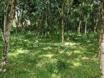 PRIME 65 CENTS OF LAND FOR SALE IN KOTHANALLOOR, KOTTAYAM