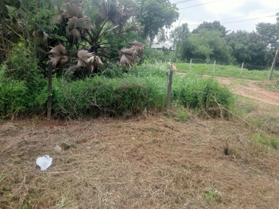 Land for Sale in Elappully, Palakkad 