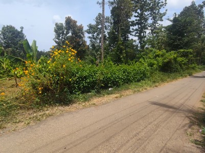 Land for Sale in Pulpally, Wayanad 