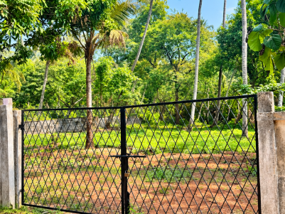 Land for Sale in Manalur, Thrissur 