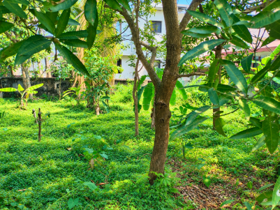 Land for Sale in Vyttila, Ernakulam 