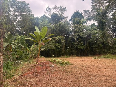 Residential Plot  for Sale in Puthupally, Kottayam