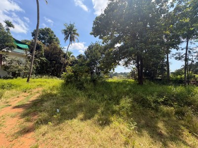 Land for Sale in Vadavathoor, Kottayam