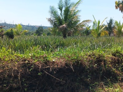 Land for Sale in Pallikkara, Kakkanad, Ernakulam 