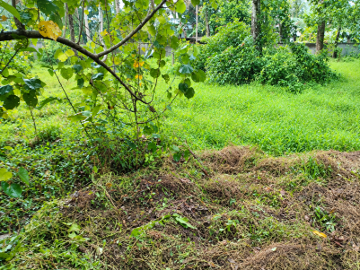 Prime Residential Land for Sale in Kuthiyathode, Alappuzha