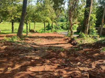 1.30 Acre Residential Land for Sale in Karayamparambu, Angamaly, Ernakulam 