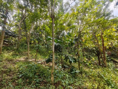 2 BHK House for Sale in Manalvayal, Wayanad 